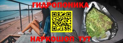 СК Рыбинск