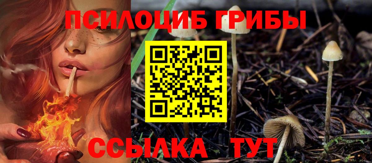 наркотики  Псилоцибиновые грибы Psilocybine cubensis  Вход с VPN  Галлюциногенные грибы MAGIC MUSHROOMS  Саров 
